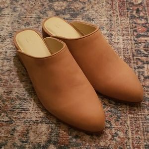 NEW Nisolo mariella mules sand